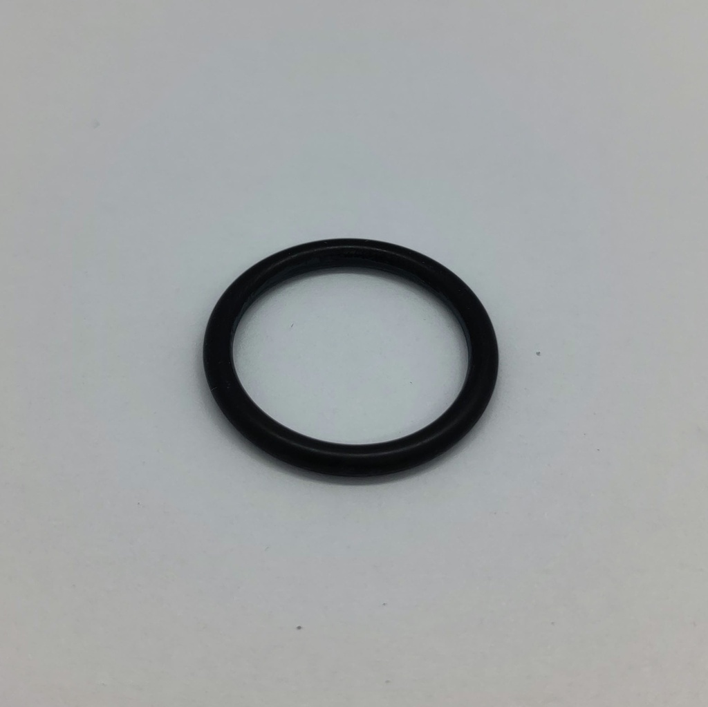 O-Ring Dichtung ø20.63x2.62mm Geschirrspüler V Zug P35010