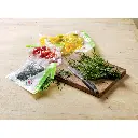 Mixeur plongeur avec kit sous vide Bosch avec pompe, boite fraicheur et sachet (4).webp