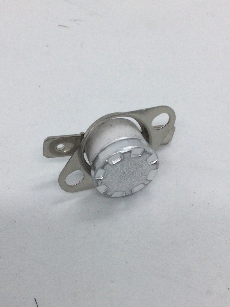 Thermostat 170°C.jpeg