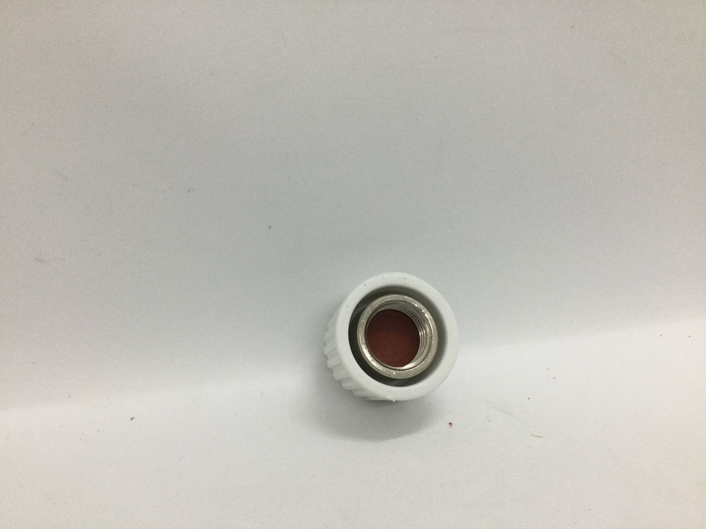 Bouchon vidange fer à repasser Laurastar 17.0003.750