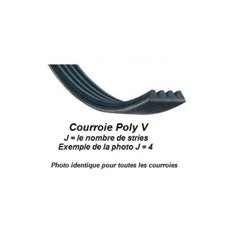 Courroie poly v.webp