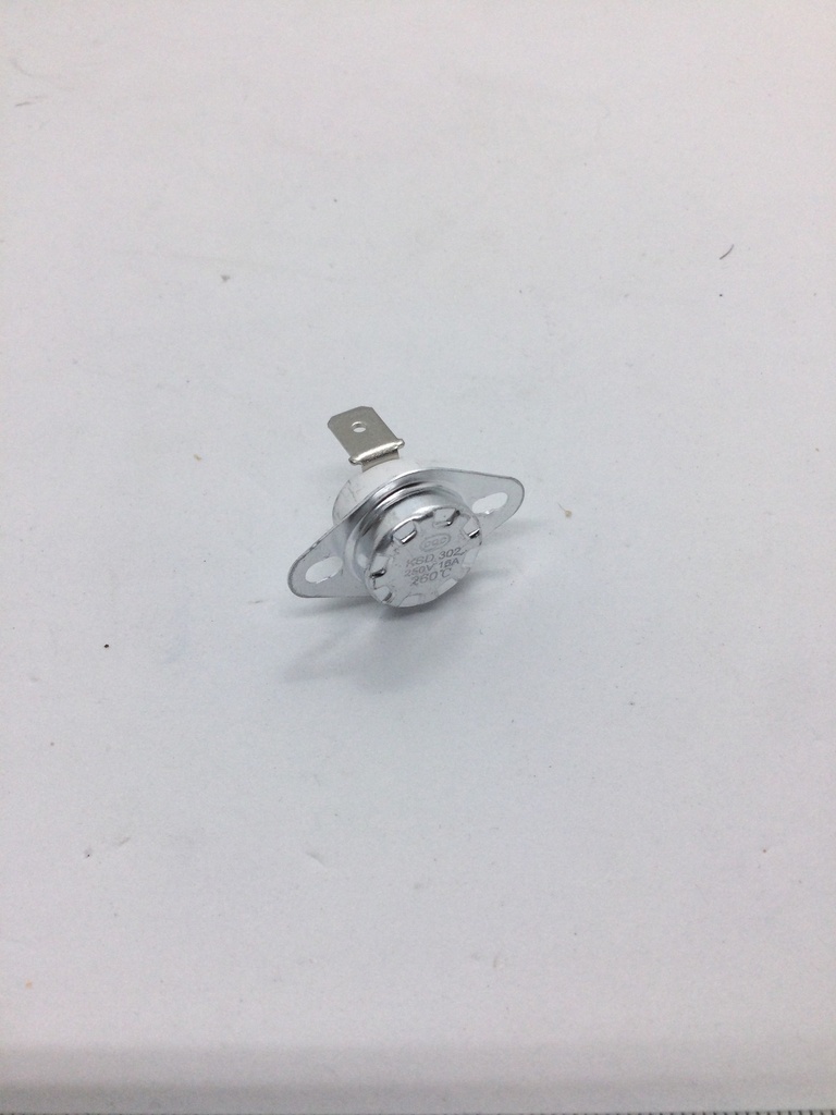 Thermostat 260°C.jpeg