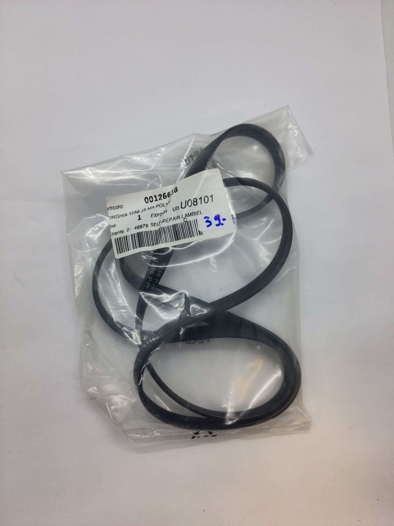 Courroie Poly V (rainure) 1256 J5 x 11.2mm - Universel