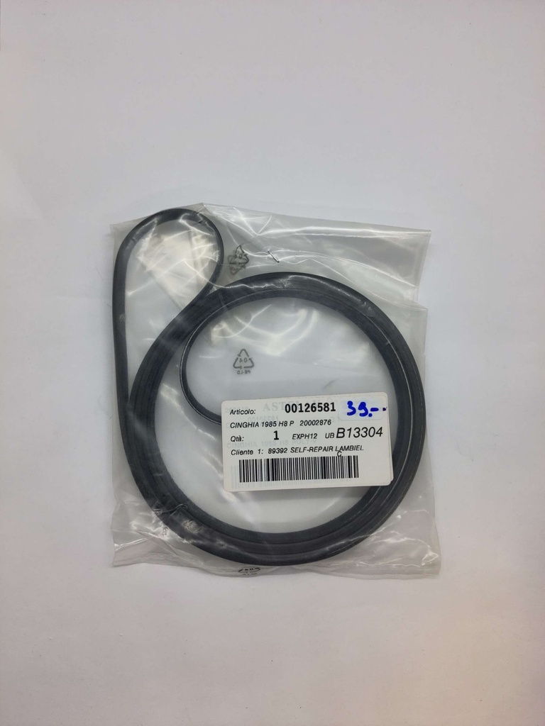 Courroie Poly V (rainure) 1985 H8 x 12.6mm - Universel