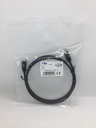 Câble USB 3.1 C / USB 3.1 C
