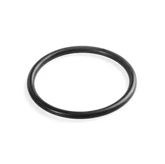 O-Ring Dichtung 54x2.5 NBR 6.472-374.0
