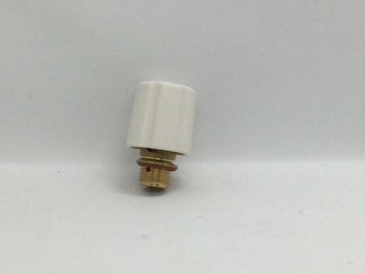 [#997703] Bouchon fer à repasser Laurastar - 105.0003.750